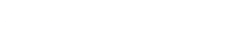 WVZ Logo